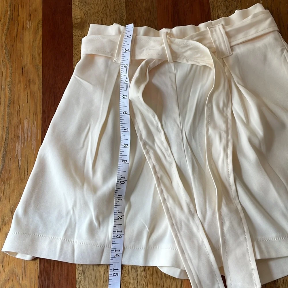 Max Studio Shorts - Picture 6 of 12